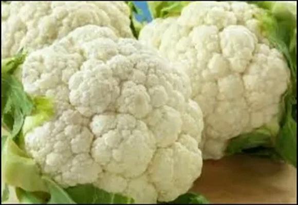 تصویر 4 از خرید و قیمت گل کلم گلخانه ای + فروش عمده